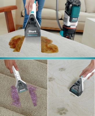CarpetXpert with Stainstriker pet deep carpet cleaner, built-in spot &amp; stain cleaner - EX201