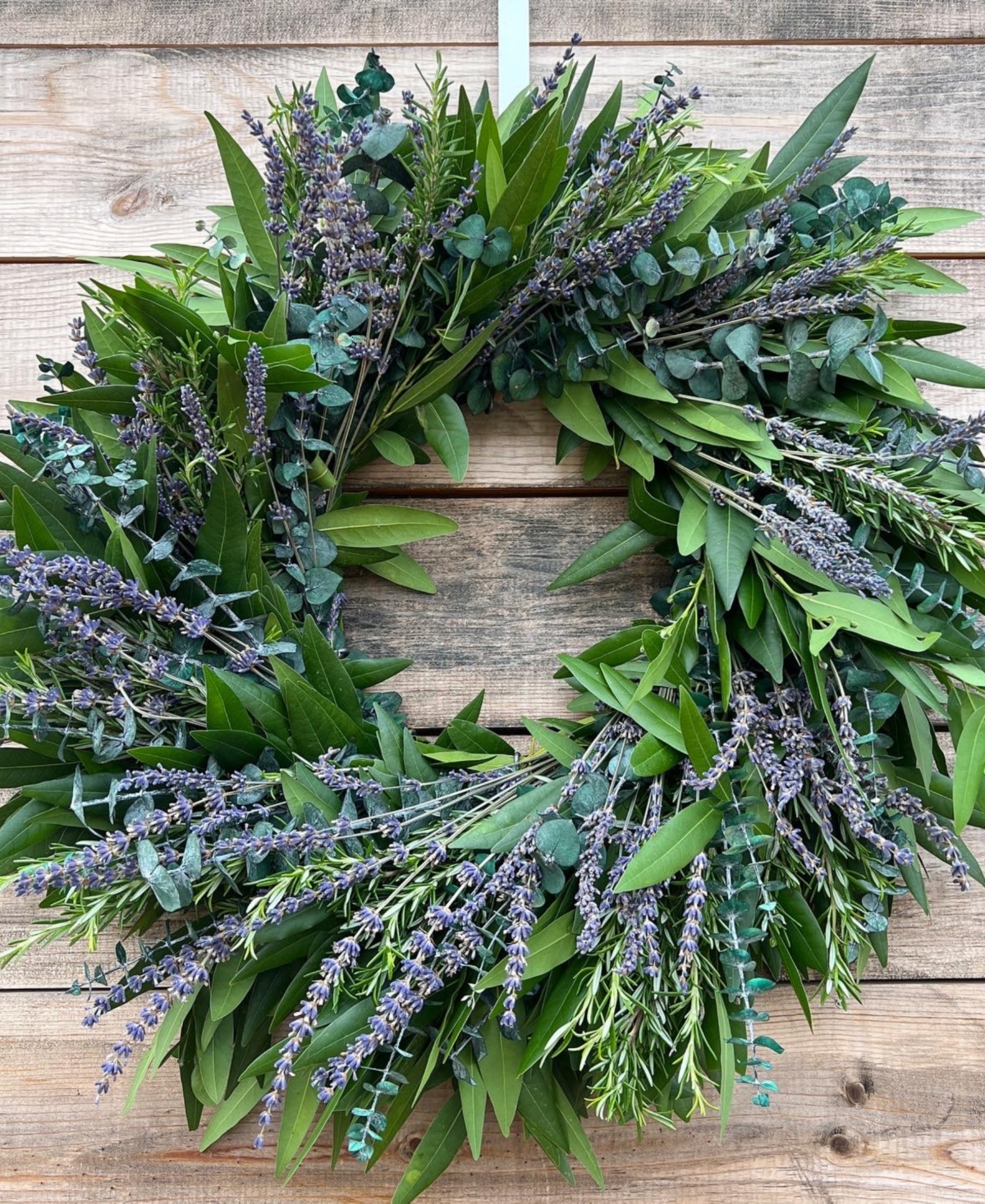 GreenishBlu Real Aromatic Wreath Preserved Baby Blue Eucalyptus, Dried Lavender and Rosemary, 22