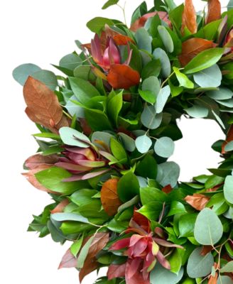 Fall Ruscus, Silver Dollar Eucalyptus, Orange Salal and Red Safari Real Aromatic Wreath, 22"