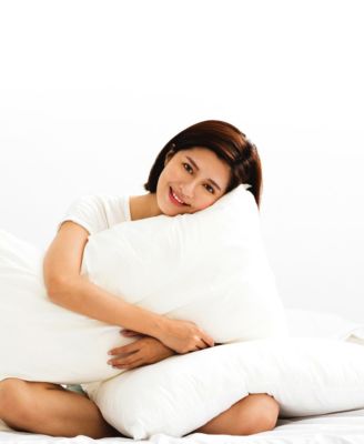 Soft and Plush Bed Pillow Insert, 2-Pack, King