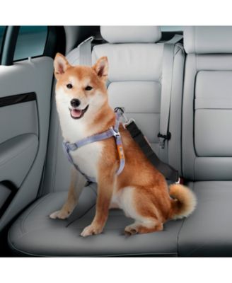 Dog Seat Belt, Car Harness for Dogs, Adjustable Safety Leash Pet Seatbelt,  Durable, Made of Nylon