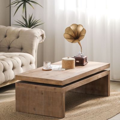 Streamdale Versatile 2-Tier Wood Coffee Table (48"x24"x16")