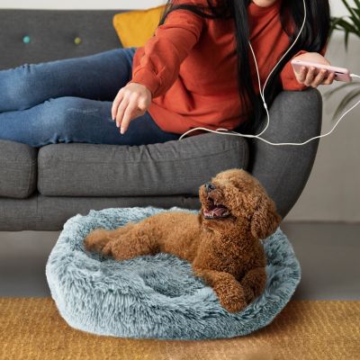 Dog Bed for Small Medium Dogs, Plush Calming Sleeping Cuddler for Pet, Super Lux Shaggy Fur Cushion Beds