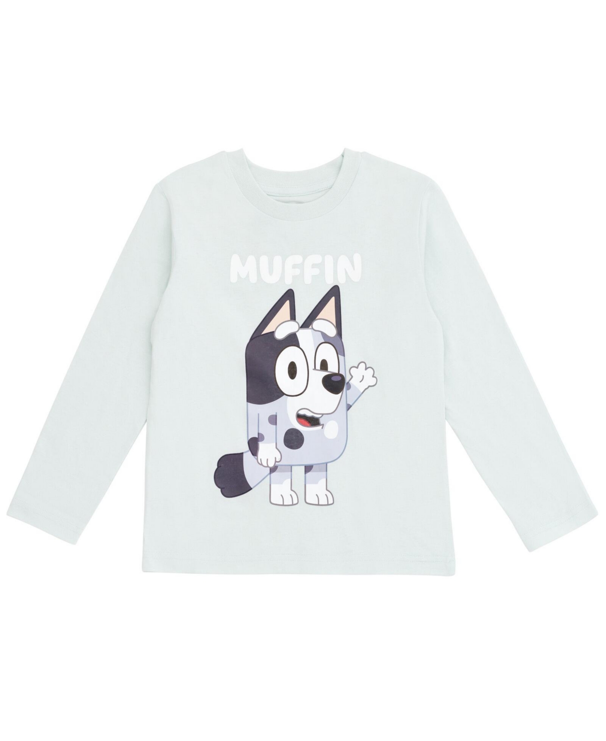 Bluey Toddler Boys Matching Family T-Shirt - blue