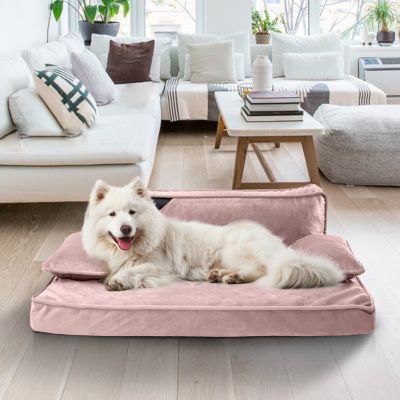 Orthopedic Pet Bed, Stylish Beds for Cats and Dogs,  Modern Sofa Couch for Small-Medium Dog