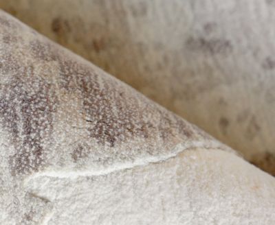 Papyrus 6800 6'x9' Area Rug