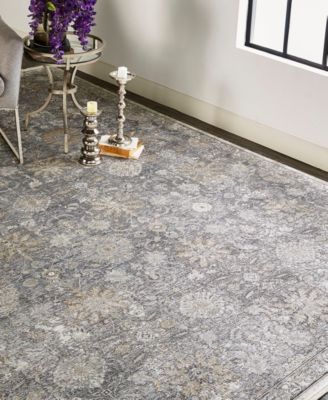 Feizy Sarrant 3965f Rug Collection In Gray