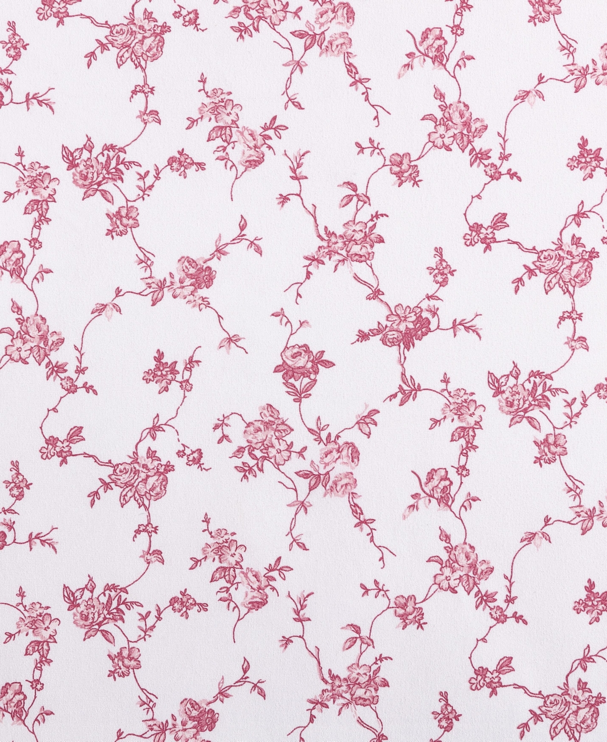 Betsey Johnson Printed Microfiber 3 Piece Sheet Set, Twin Xl In Floral Toile