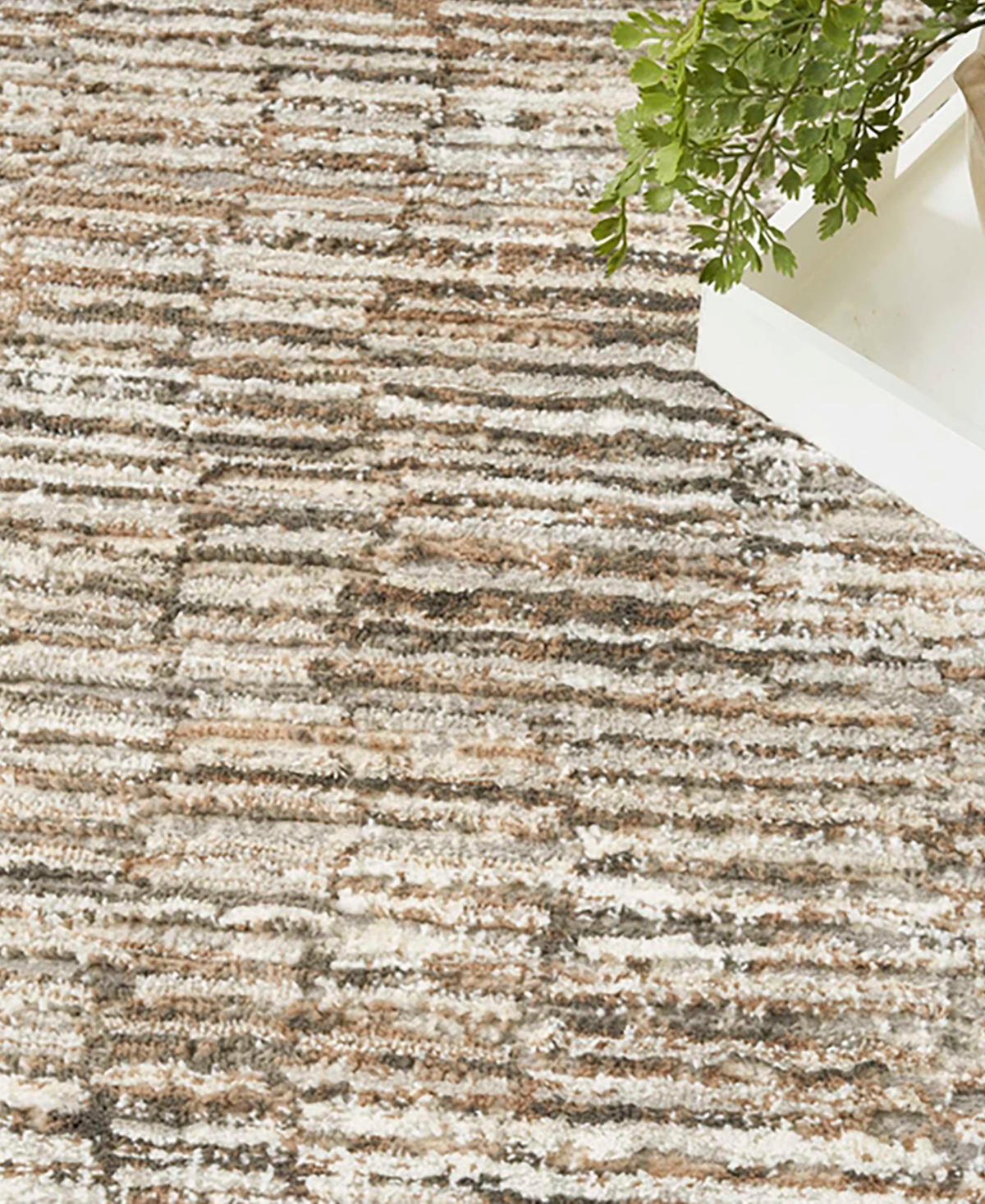 Nourison Home Trends Sut06 7'10"x9'10" Area Rug In Ivory
