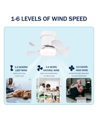 21" Ceiling Fan with Remote Control & Light