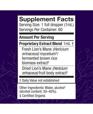 Lion's Mane Extract - Brain Health Support Supplement - Mushroom Supplement to Support Focus & Memory Function - Immune & Nervous System Support Supplement