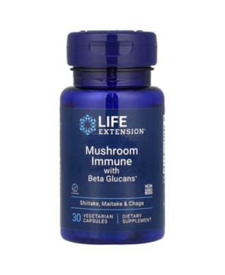 Life Extension