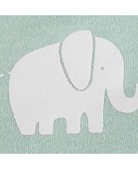 Baby Boys Neutral Safari Bodysuits