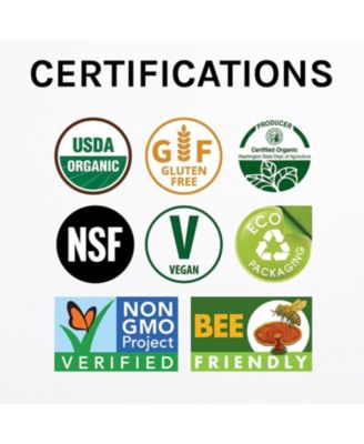 Lion's Mane Powder - Brain Health Support Supplement - Mushroom Supplement to Support Focus & Memory Function - Immune & Nervous System Support Supplement