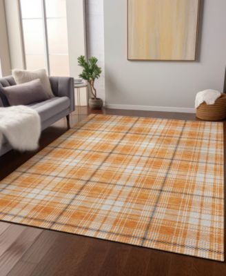 Chantille Machine Washable ACN993 3'x5' Area Rug