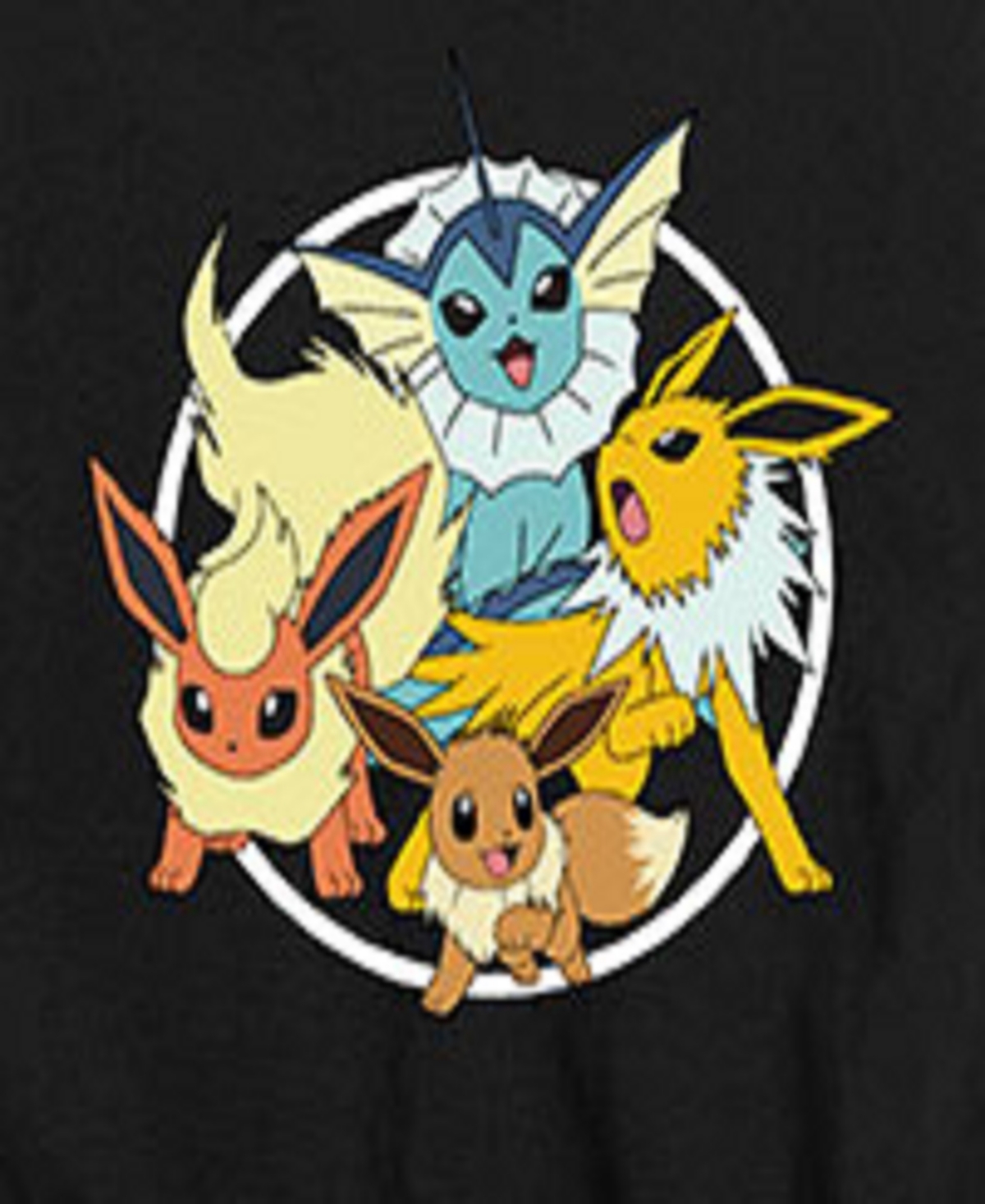 Hybrid Big Boys Pokemon Group Graphic Tee In Black