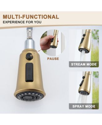 1.8 GPM Pull Down Kitchen Faucet with Deck Plate