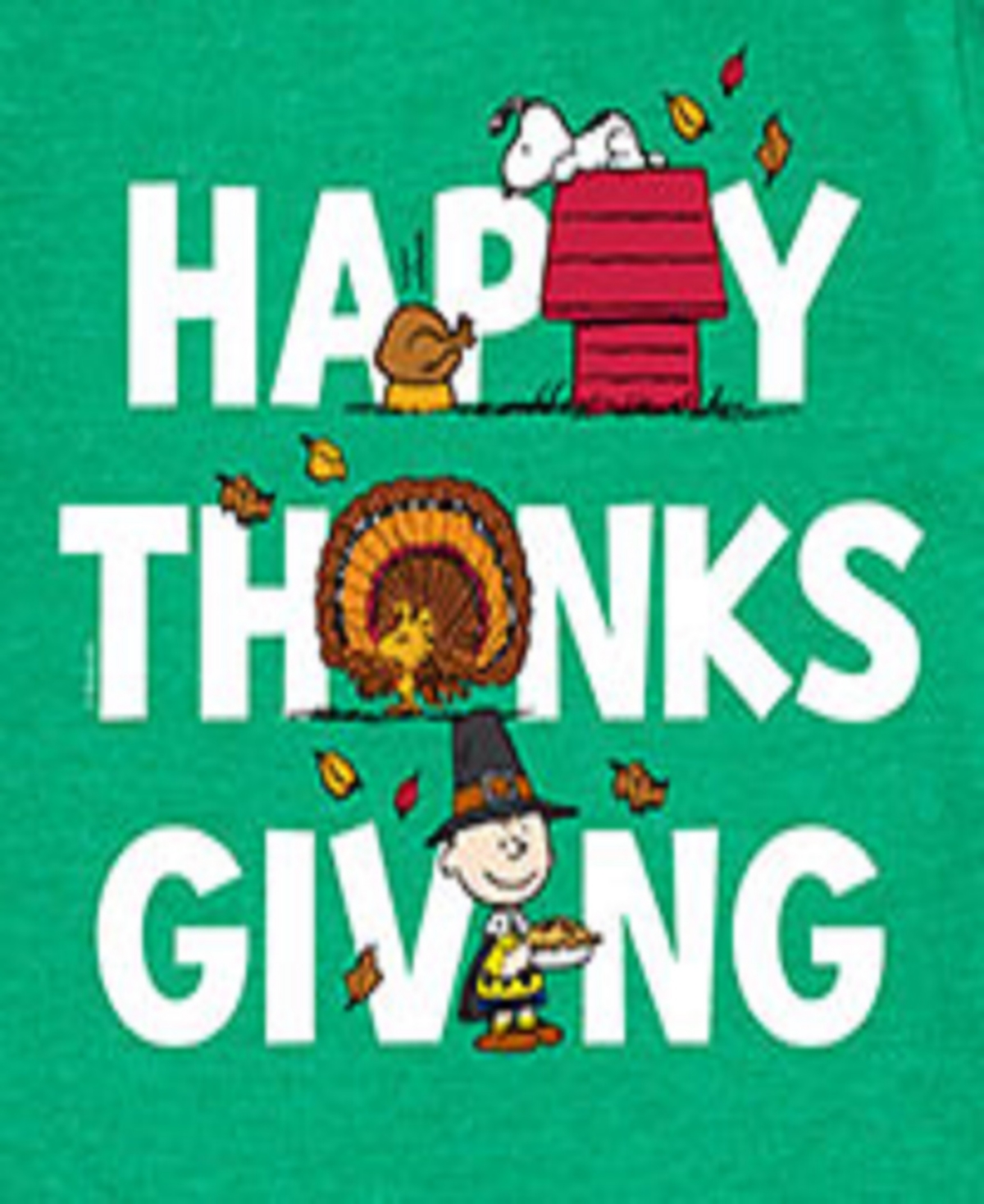 Hybrid Big Boys Peanuts Happy Thanksgiving Graphic Tee In Green
