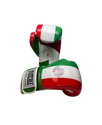 Invincible Fight Gear Standard Hook and Loop Leather Training Boxing Gloves with Mexican Flag Colors -Ideal for Boxing, Kickboxing, Muay Thai, MMA for Men Women and Kids (14oz)