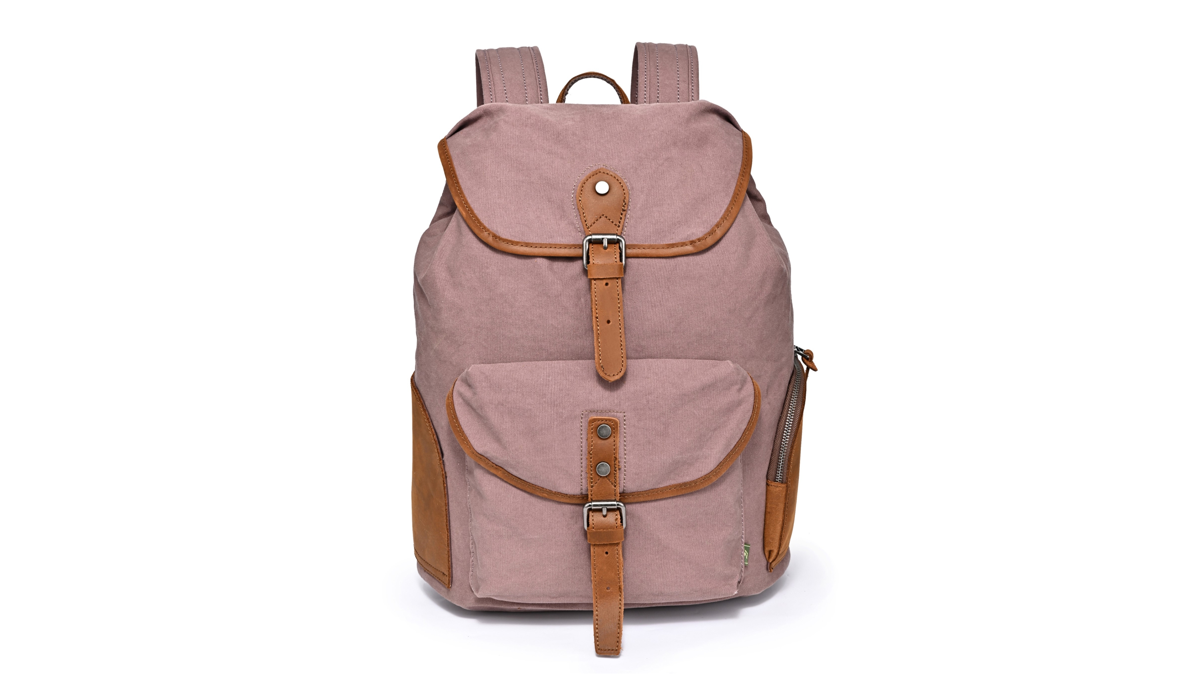 Tsd Brand Milo Canvas Backpack