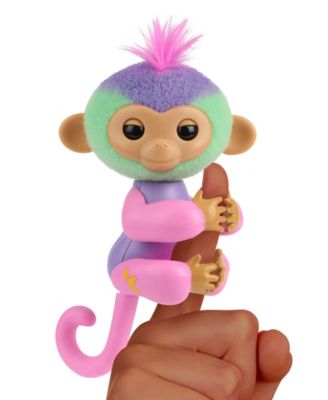 Magic Moods Monkey, Norah