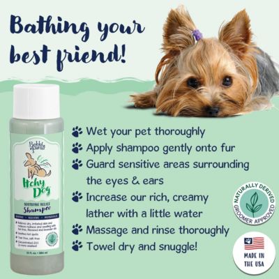(Professional) Signature ITCHY Dog Shampoo Tea Tree, Lavender Oil
