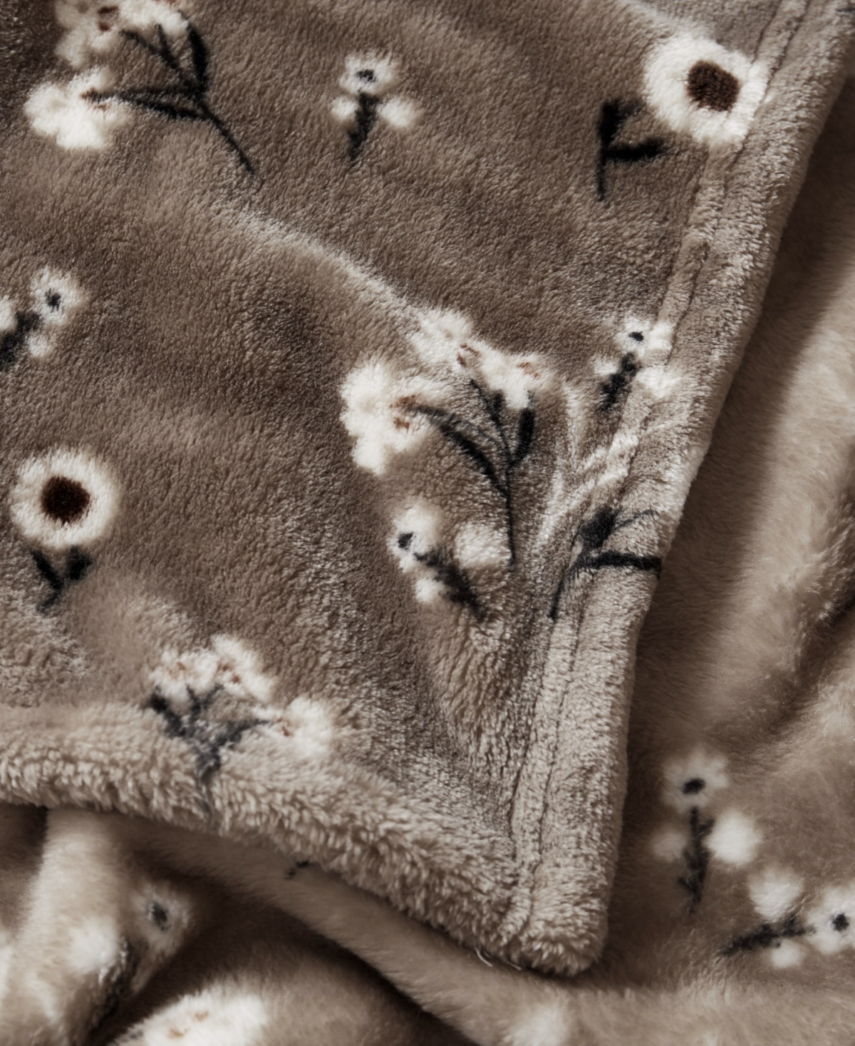 Lucky Brand Daisy Floral Cozy Plush Blanket, Twin/twin Xl In Beige