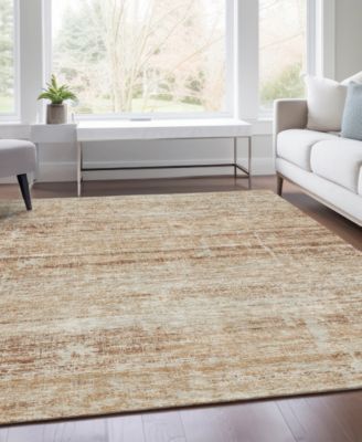 Chantille Machine Washable ACN747 5'x7'6" Area Rug