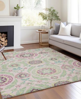 Chantille Machine Washable ACN751 2'6"x3'10" Area Rug