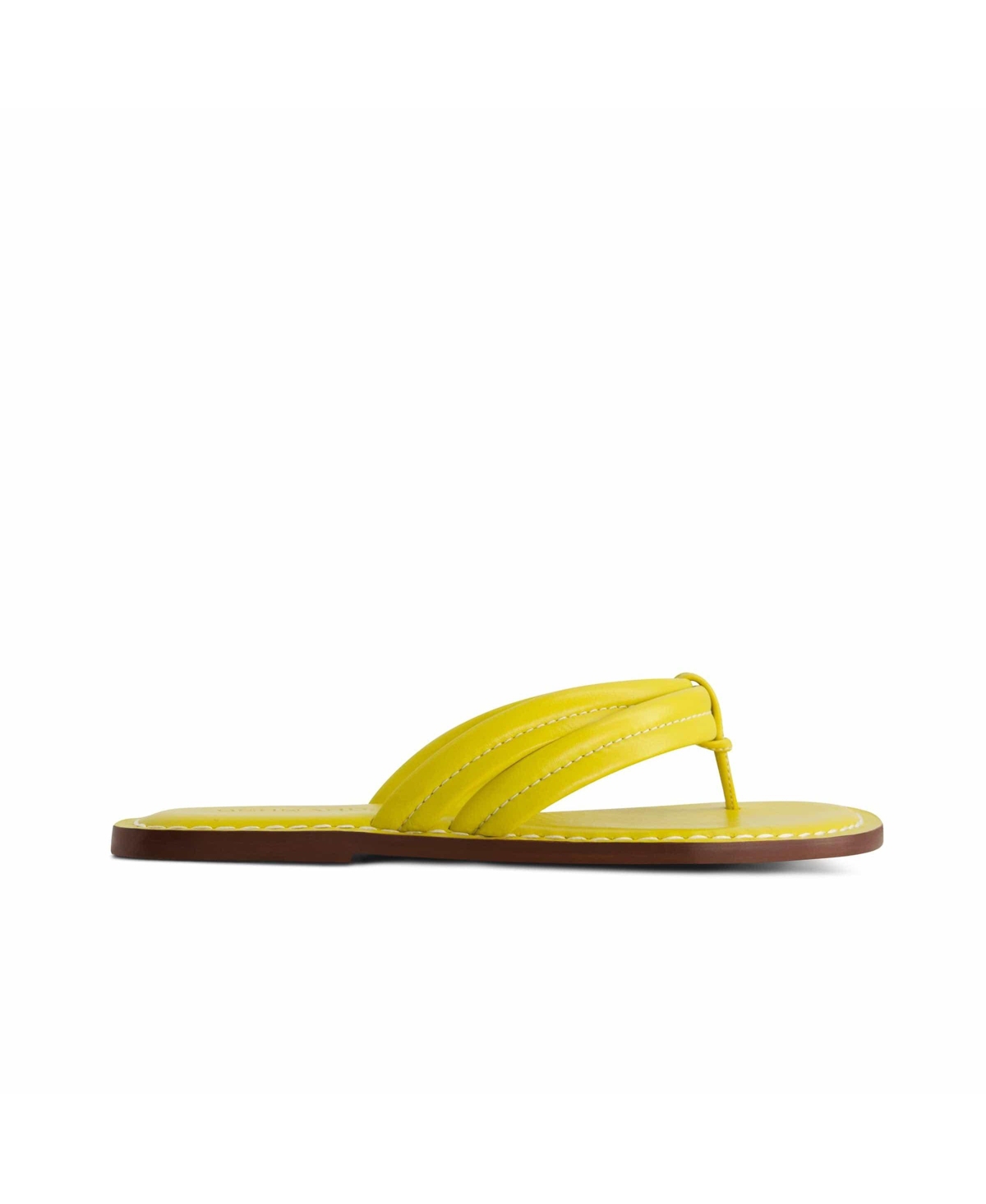 Bernardo Miami Thong Sandal - Champagne