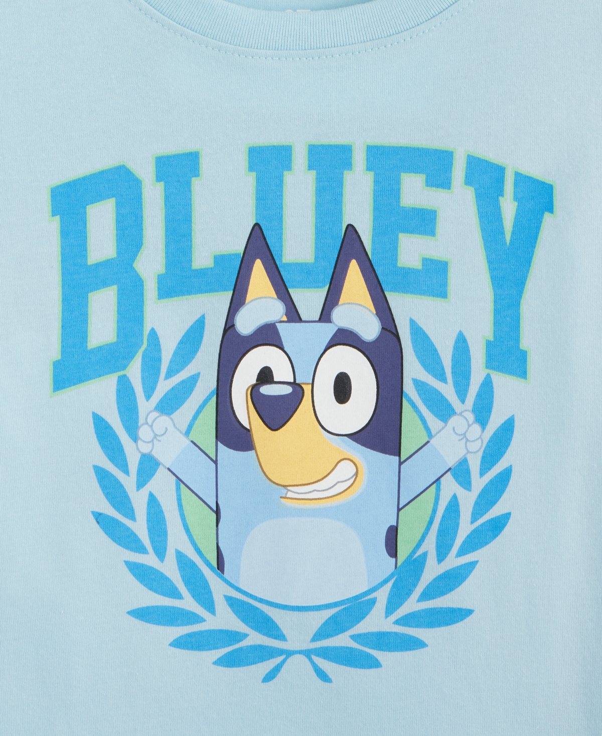 Epic Threads Toddler Boys Bluey Graphic Short-sleeve T-shirt, Exclusively At Macy's In Crystal Bl