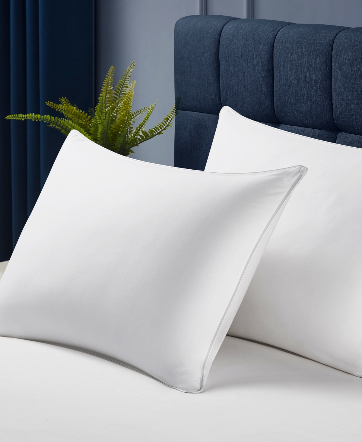 Stearns & Foster Primaloft Down Alternative Medium Density Pillow, King In White