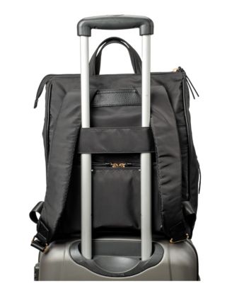 Convertible Organizational Amber Backpack with Lunch Bag