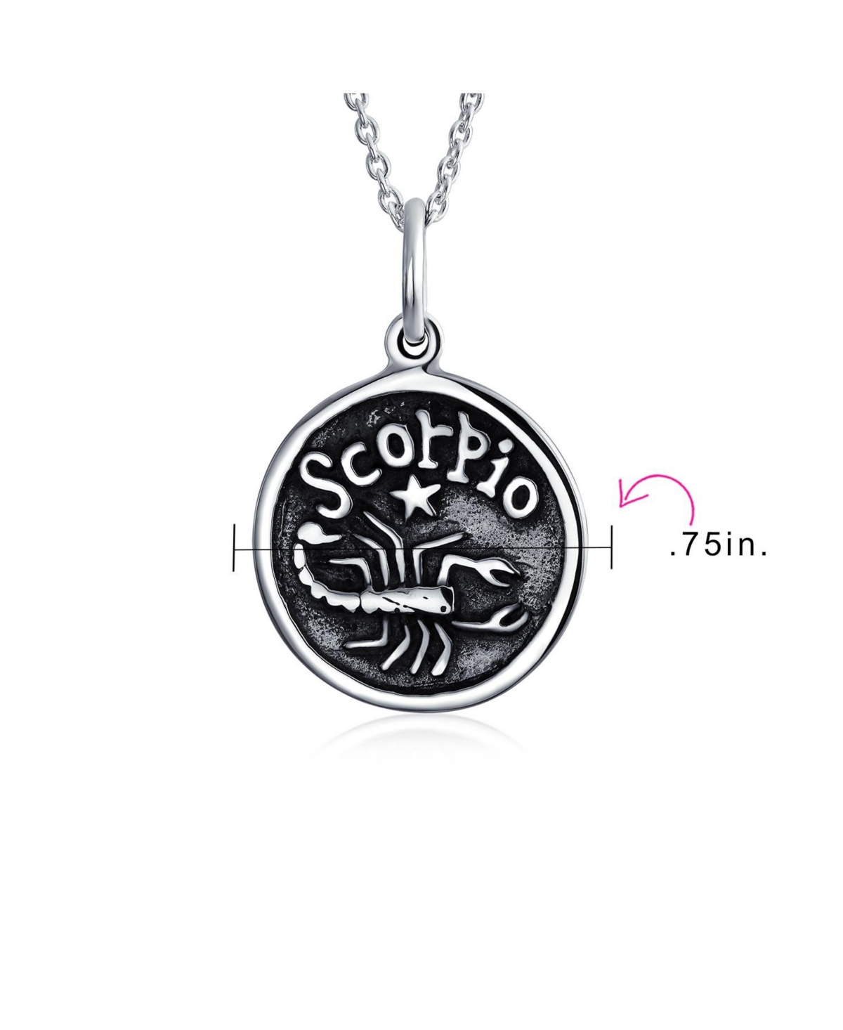 Bling Jewelry Sterling Silver Pisces Zodiac Medallion Pendant Necklace