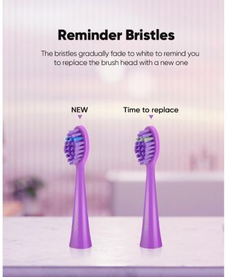 DY156 Electric Toothbrush Replacement Heads, 3 Packs (Purple)