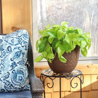 Dinah Metal Indoor or Outdoor Planter with Drainage Hole - 12.5 in