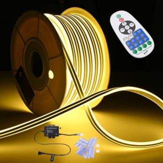 DELight Outdoor Waterproof 100 Feet LED Neon Rope Light AC 110-120V ...