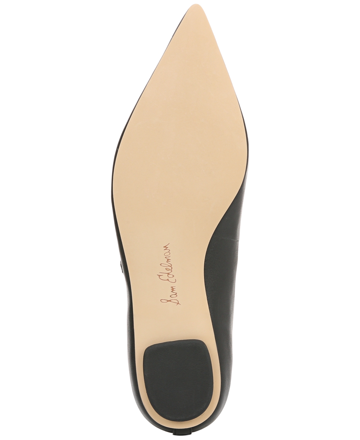 Sam Edelman Noa Mary Jane Pointed Toe Flat In Black Leather
