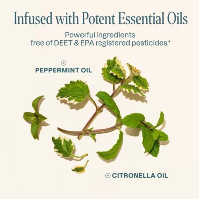 Mosquito Repellent Patches - Solid - 90 Count