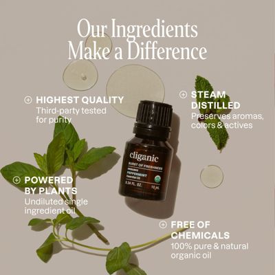 Organic Peppermint Essential Oil - 10 ml