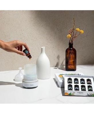 Organic Aromatherapy Set (Top 12 Essential Oils) - 5 ml