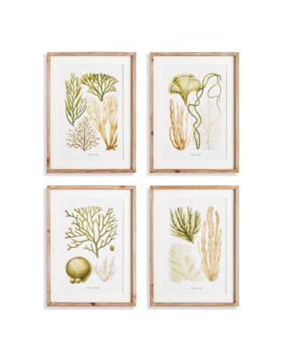Napa Home & Garden