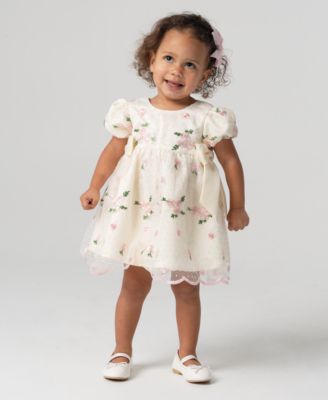Baby Girls Embroidered Mesh Social Dress