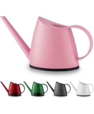 Small Watering Can with Long Slim Spout for Indoor Plants