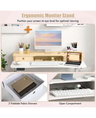 48"x 24" Electric Standing Desk with 2 Drawers Monitor Stand Storage Shelf
