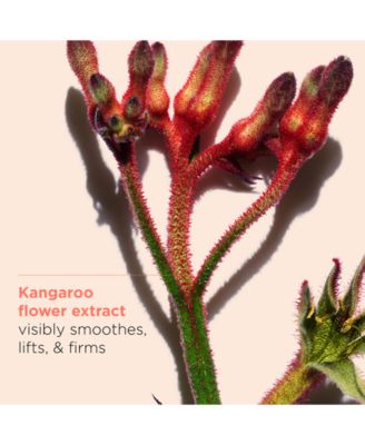 3-Pc. Limited-Edition Extra-Firming & Smoothing Skincare Starter Set