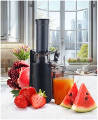Compact Masticating Cold Press Slow Juicer