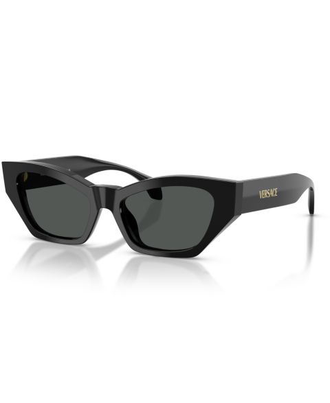 Женские солнцезащитные очки Versace Large Sunglasses, VE4488U, цвет: Чёрный