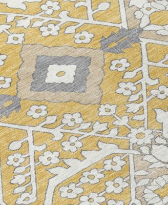 Chantille Machine Washable ACN863 2'6"x3'10" Area Rug