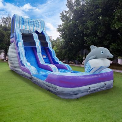 HeroKiddo 16FT Dolphin Inftatable Water Slide with Detachable Pool & Air Blower, Commercial Grade, 100% PVC Vinyl, Outdoor Backyard, Kids and Adults, Summer Fun, Blow up